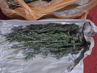 Sat Resnarkoba Polres Aceh Tengah Ungkap Kasus Narkotika Jenis Ganja, Tiga Pelaku Diamankan 