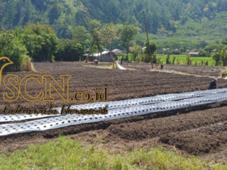 BUMK Desa Pedemun Diduga Gelembungkan Volume Bibit Bawang, Kerugian Program Ketahanan Pangan Capai 90 Persen.