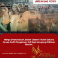 Harga Dirahasiakan, Bobot Disorot: Ruhdi Sahara Desak Audit Pengadaan 165 Sapi Meugang Di Bener Meriah.