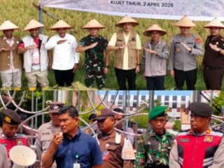 Panen raya, Kerja Rakyat Yang Diklaim Pemerintah Ditengah Bobroknya Sistem Pertanian Aceh Selatan !   