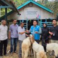 PLN NP UP Arun Dorong Kemandirian Kelompok Tani Dalam Pengemukan dan Peternakan Kambing.