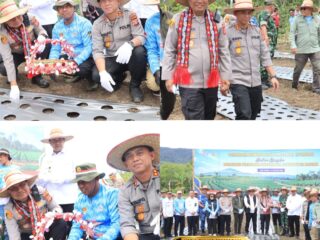 Dukung Swasembada Pangan, Polda Aceh dan Polres Aceh Tengah Tanam Bawang Putih, Salurkan Ratusan Paket Sembako dan Layanan Kesehatan